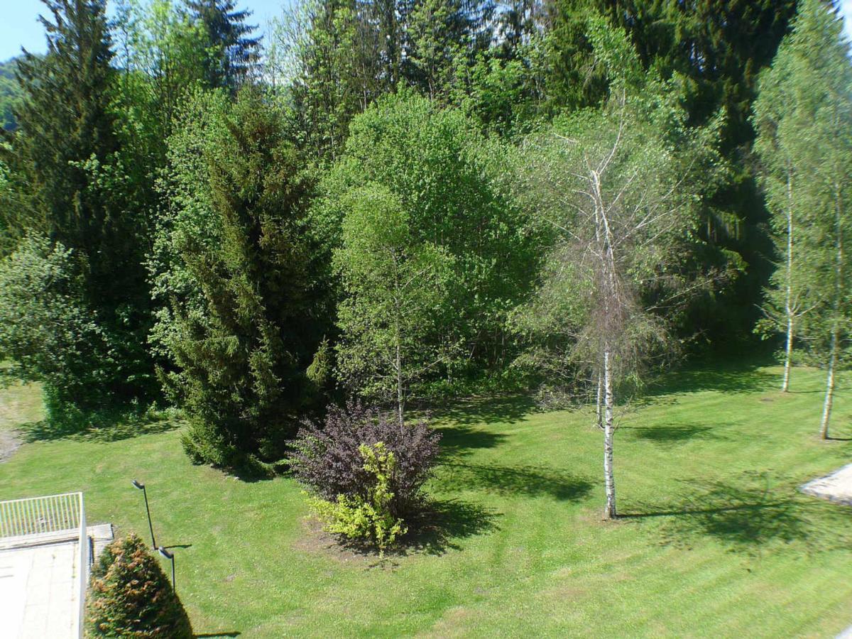 Appartement Cosy Avec Piscines, Parking Et Wifi A Samoens - Fr-1-629-32 ภายนอก รูปภาพ